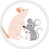 Maus/Ratte