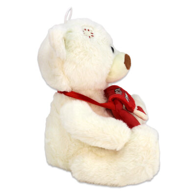 Teddybär mit Tasche - ca. 25 cm