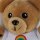 Teddy 10 cm mit Bagclip und Shirt