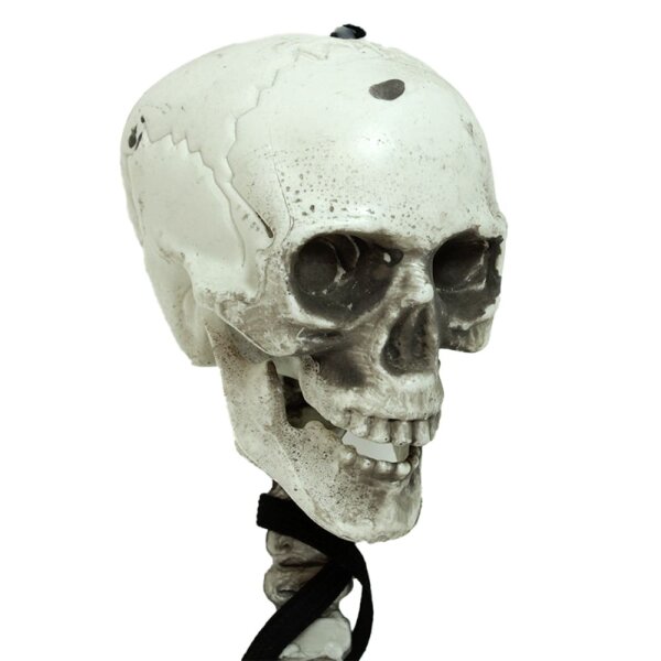 Halloween Skelett Deko zum Aufhängen günstig kaufen, 11,90 €