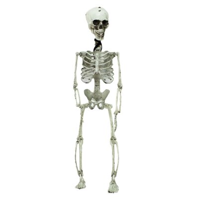 Halloween Skelett zum Aufh&auml;ngen - 70 cm lang