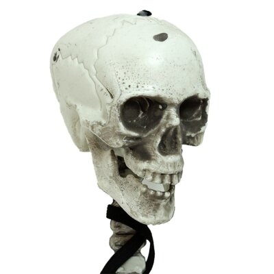 Halloween Skelett zum Aufhängen - 70 cm lang