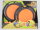Squap Disc Set, 35,8 x 29 x 6,4 cm