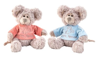 Maus Kuscheltier mit Pullover &quot;Youre special&quot; -...